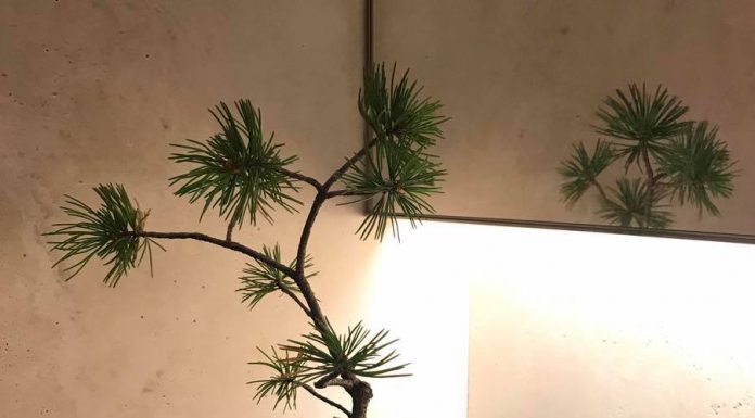 通關密語失效了