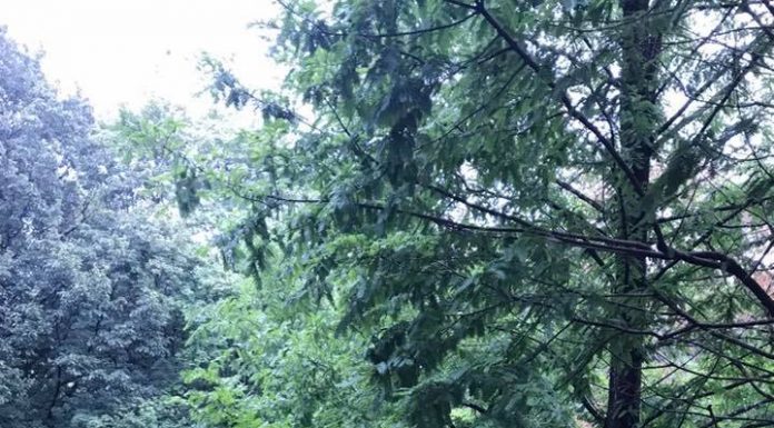 醫生今天好像有點心情不好